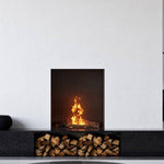 Element4 Bioethanol Sky Small  Double Burner Unique multi burner system – with split wood logset, Black Painted Steel Interior with Clean Face Design and Ceramic Glass installed at the Living Room